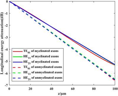 Electromagnetic characteristics of in vivo nerve fibers at the terahertz-far-infrared band